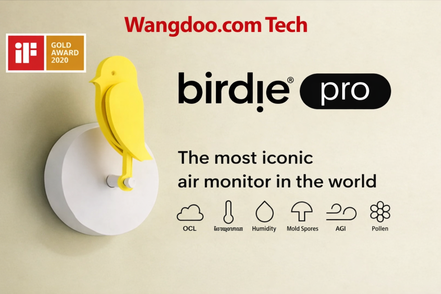 Birdie® Pro CO₂ monitor